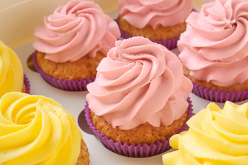 Delicious cupcakes in cardboard box, closeup