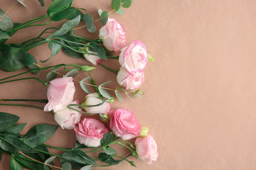 Beautiful pink flowers on color background