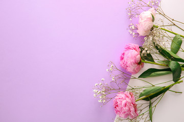 Beautiful flowers on color background