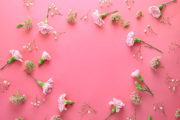 Frame made of beautiful flowers on color background