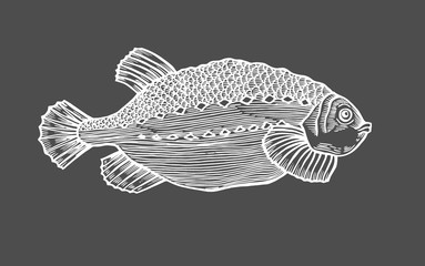 Ink sketch of fish