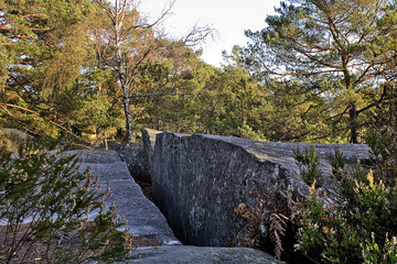 Chaos des gorges de Franchard à Fontainebleau