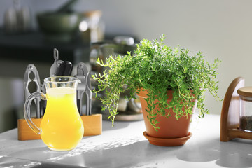 Pot with fresh thyme and jug of orange juice on table in kitchen