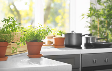 Pots with fresh aromatic herbs on table in kitchen