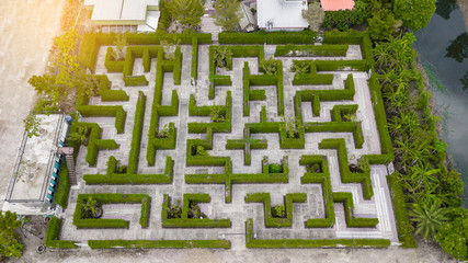 Garden Decoration is a maze with Green leaves wall fence with concrete