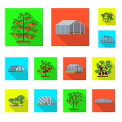 Isolated object of greenhouse and plant logo. Collection of greenhouse and garden stock symbol for web.