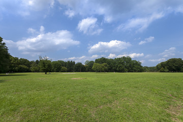 小金井公園（東京都小金井市）