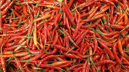 Fototapeta premium Red Chilies Background,Selective focus. Hot chili peppers pattern texture background.