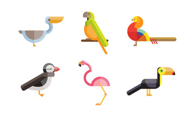 Birds set, toucan, pelican, flamingo, parrot bird, colorful polygonal low poly geometric design vvector Illustrations on a white background