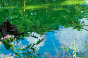 岩手県北上市金ヶ崎町