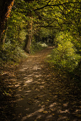 Fototapeta premium The towpath along the River Medway near Maidstone in Kent, taken in Autumn