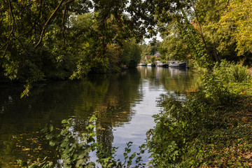 Fototapeta na wymiar River Medway near Maidstone in Kent, taken in Autumn