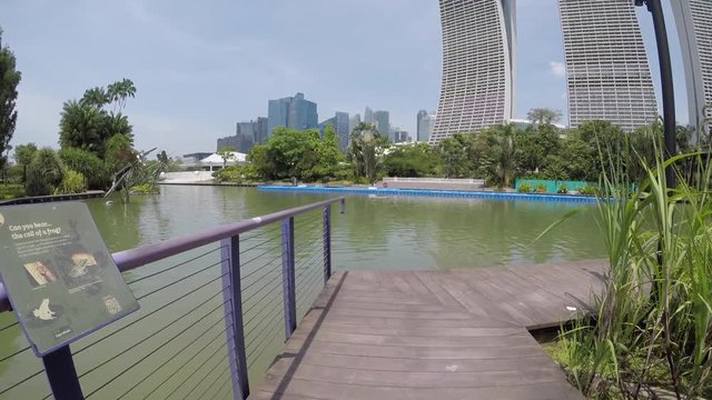 Walking by the lake