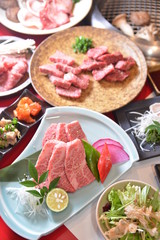 Toyama Japanese beef of Wafuuyakiniku Toyamasodachi