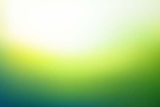 Abstract blurred background in green colors. Fresh grass under sunlight unfocused. Vector illustration