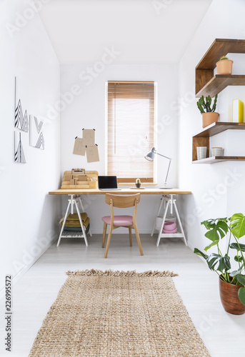 Brown rug and plant in white workspace interior with window above desk and chair. Real photo