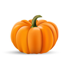 Ripe orange pumpkin vector illustration