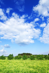 Obraz premium Idyllic view, green field and blue sky with white clouds