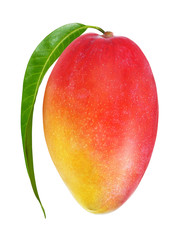 Red mango with a leaf isolated on white background. Clipping path