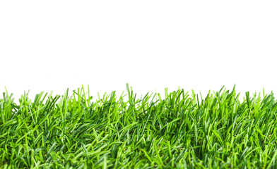 green fresh grass for background