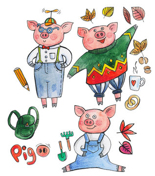 Collection of pigs, pigs in clothes. Pig - a symbol of the 2019 new year horoscope