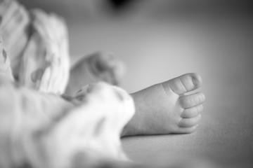 Baby's feet on the blanket, close up