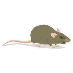 Evil Cartoon Rat Vector Clip Art Illustration. Angry Rat Sign Isolated On White Background. Harmful Rodent. House Mouse Vector Drawing.