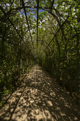 Pergola, Tunnel, Hintergrund für Werbung