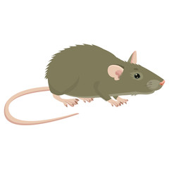 Mouse, Rat Vector Sign Illustration. Rat Isolated On White Background. Rat Vector Disease. Harmful Rodent. House Mouse Vector Drawing.