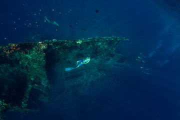 Free diver in the depth swim at shipwreck
