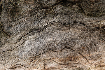 brown color for abstract background, wood texture winding lines randomly arranged on the surface of the wood