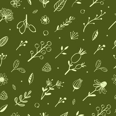 Herbal and floral vector doodle seamless pattern 4