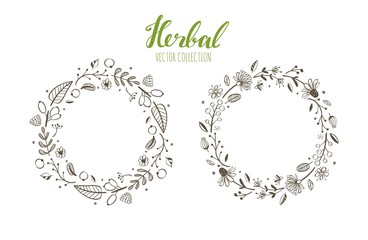 Rustic vector decorative plants and flowers wreath 1