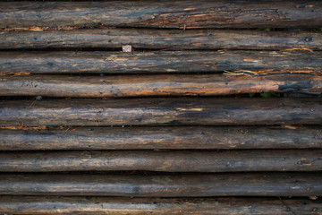 Wood texture. The surface of the logs, traditional style