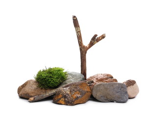 Green moss with decorative twigs and rocks isolated on white background