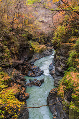 鹿飛橋からみた秋の吾妻渓谷の風景