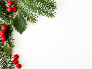 Background for Christmas and new year cards with a branch of spruce and red berries. Isolated. Copy space.