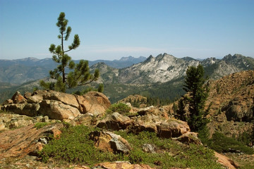 Pacific Crest Trail View