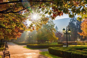 National park of Brasov in autumn season, Romania