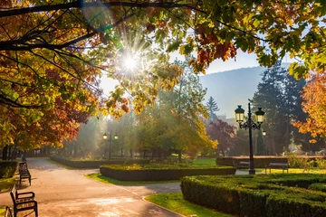 Papier Peint photo autocollant Automne Parc national de Brasov en saison d& 39 automne, Roumanie