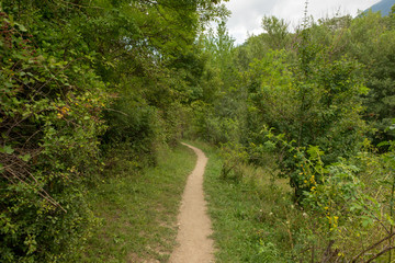 Obraz premium Among the mountains of the valley of aran in Lleida