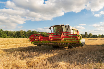 Fototapeta premium Mähdrescher auf einem Feld