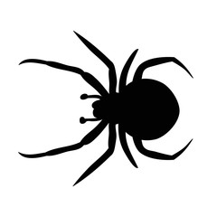 insect, spider silhouette