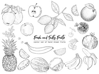 Fruits and berries. Set of isolated realistic objects of nature for kitchen design, decoration food packaging, signs of shops, markets. Black and white. Vintage. Vector illustration art. Hand drawing