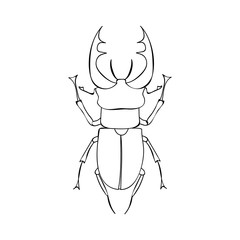 coloring book beetle