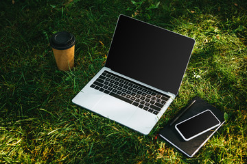 gadgets with blank screens and coffee in paper cup on green grass in park