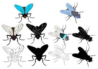 insect fly, set