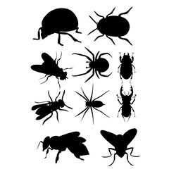 vector, isolated, set silhouette insects