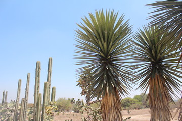 Fototapeta premium Ruins and city