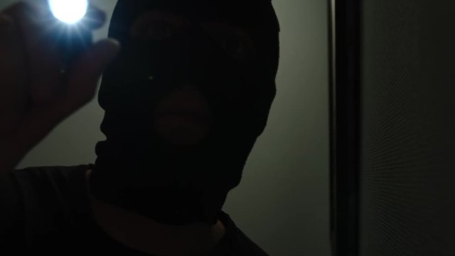 Thief climbs into the house, shines a flashlight on the picture and into a surveillance camera